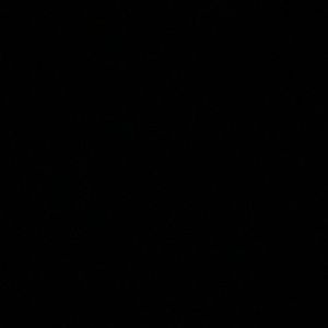 Meet your Posher, Leigh-ann